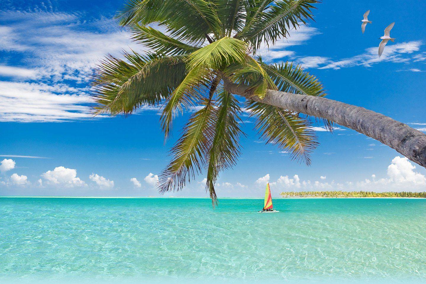Exploring Cozumel with Confidence in Swimzz Bikini: Your Ultimate Beach Vacation Guide